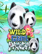 วิธีเล่น king pg slotp888 สล็อต สนุกไม่หยุดเฮ!